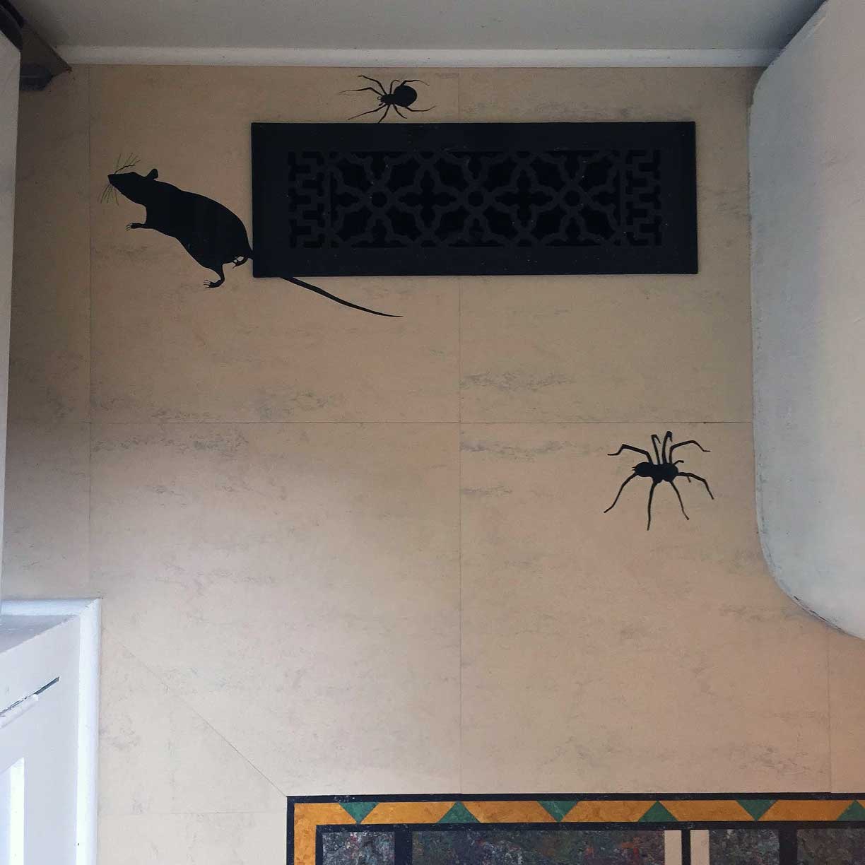 web-crogan-rat-spiders